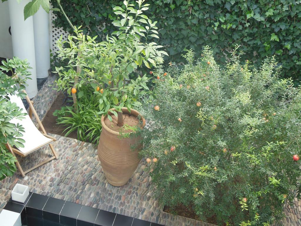 Riad Tchina Μαρακές Εξωτερικό φωτογραφία