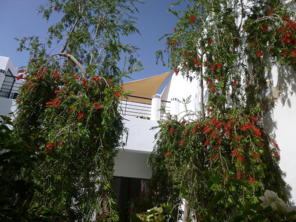 Riad Tchina Μαρακές Εξωτερικό φωτογραφία